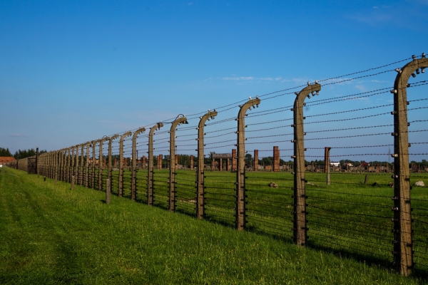 Barbed Wire Style 2
