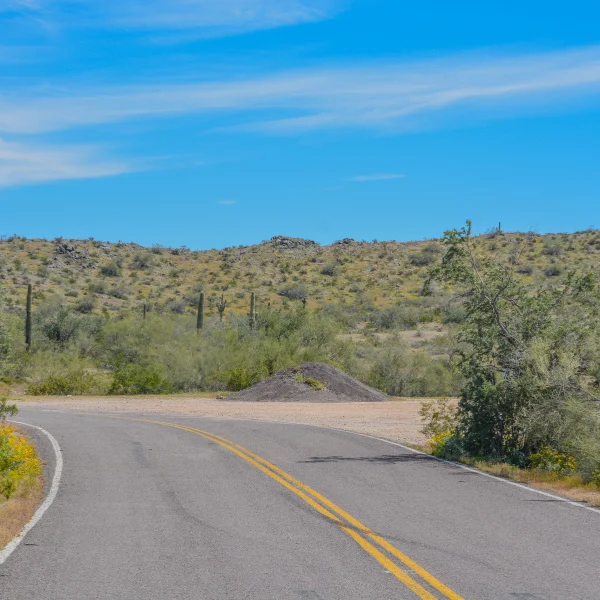 Image representing Goodyear AZ.