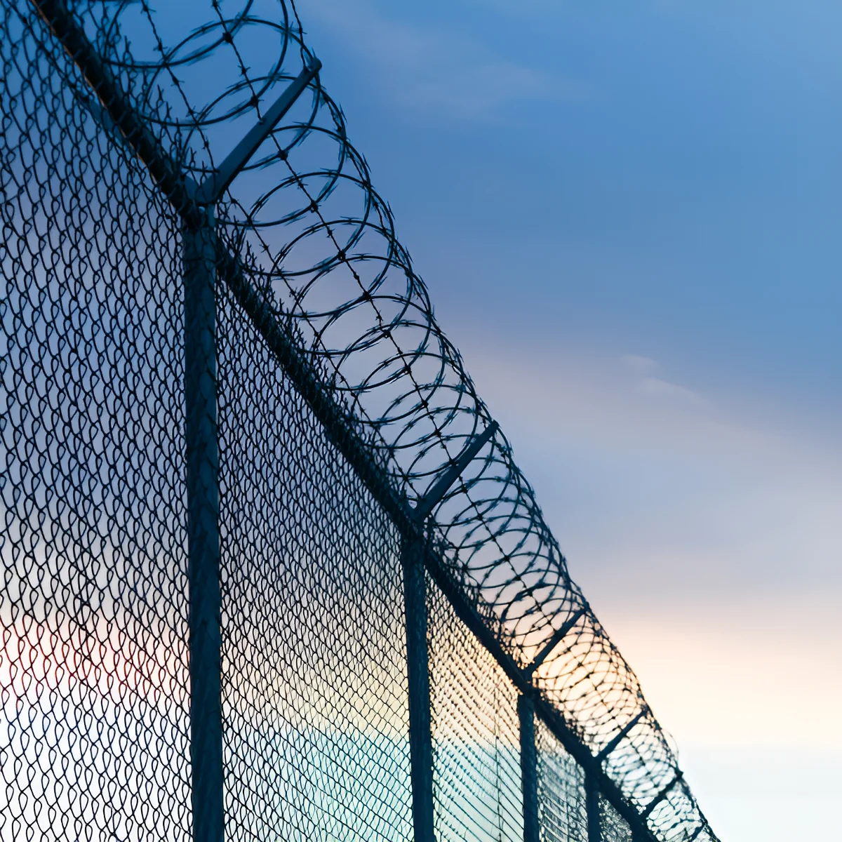 An image showing barbed wire fencing.