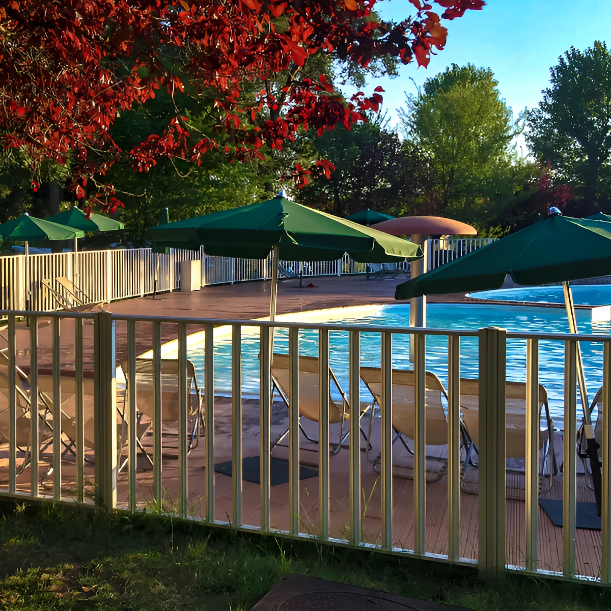 Image of home pool fencing.