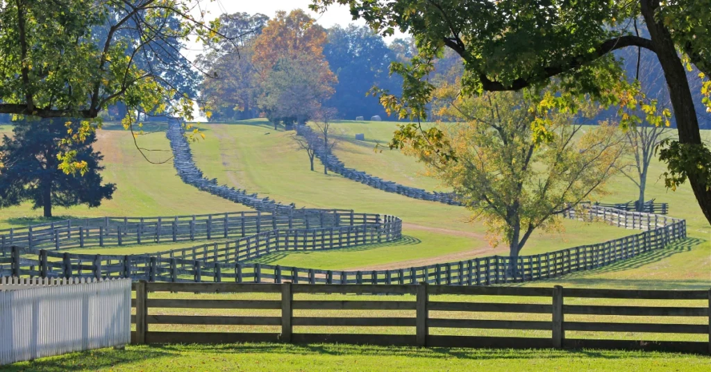 Image of Arizona farmland fencing.