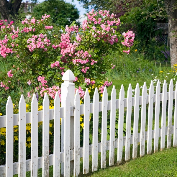 Image of a classic white picket garden fence.