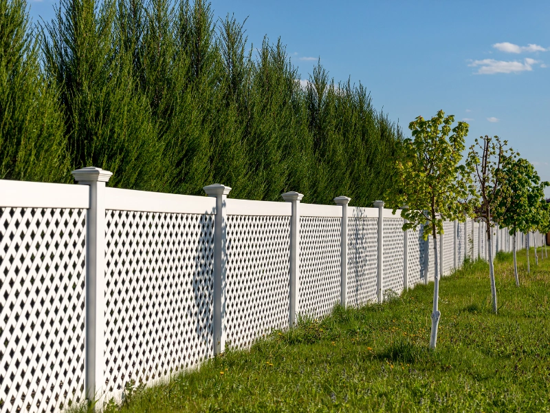 Image of a tall vinyl privacy fence in Arizona.
