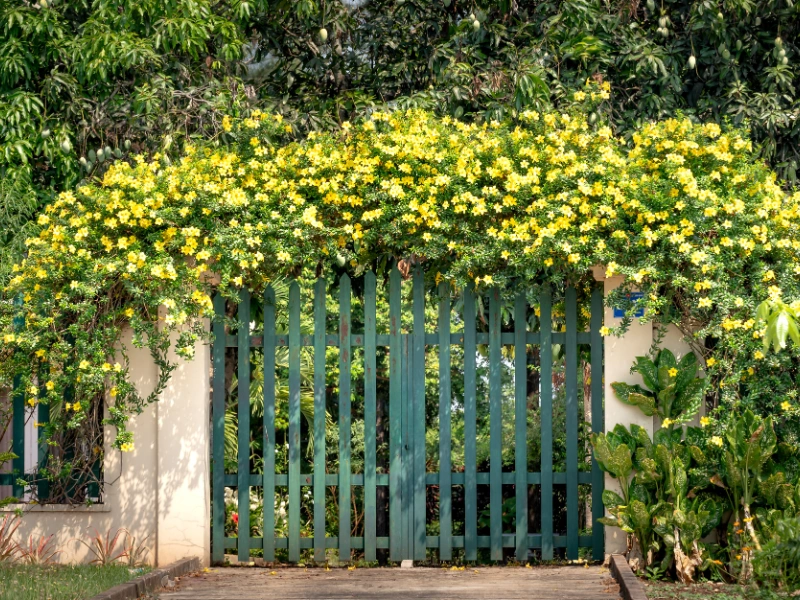 Image of decorative garden gate with plants nearby.
