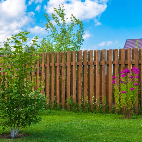 Image representing low-cost fencing for Arizona gardens.