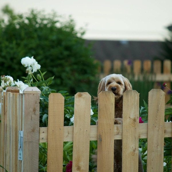 Image representing traditional wooden garden fencing.