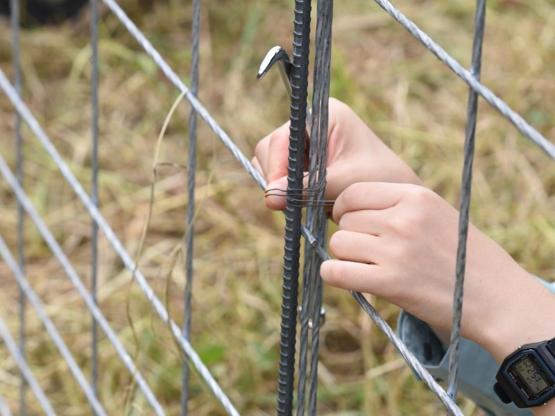 A chain link fence maintenance inspection on a Phoenix residential property.