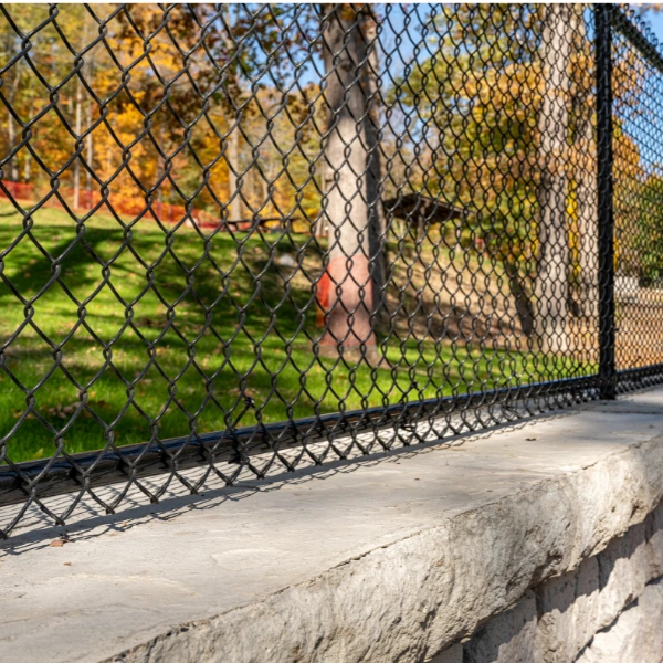 Black vinyl-coated chain link fencing installed at a Scottsdale property.